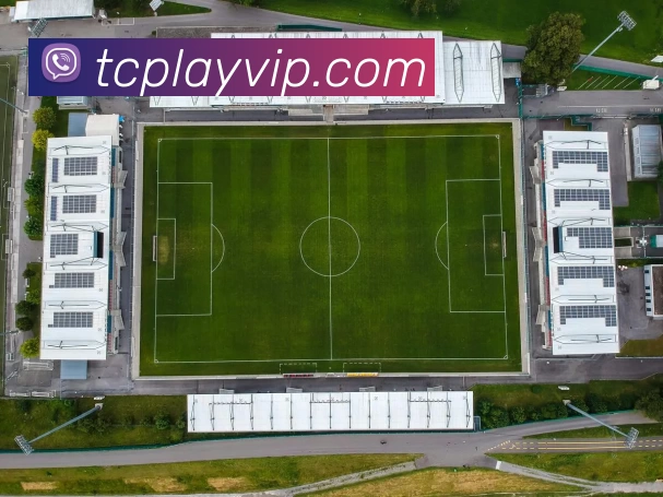 天辰娱乐官网平台生态图