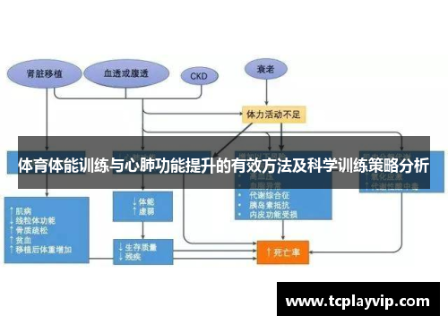 体育体能训练与心肺功能提升的有效方法及科学训练策略分析