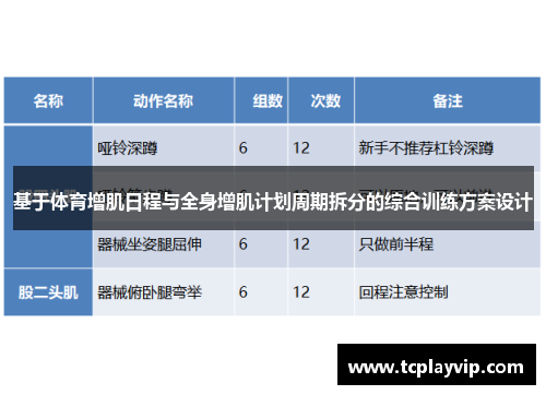 基于体育增肌日程与全身增肌计划周期拆分的综合训练方案设计